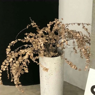 Furry绘画细节处理兽圈社群